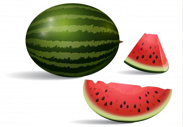 Realistic illustration of watermelon. dessert, peace, slice. fruit concept. Free Vector