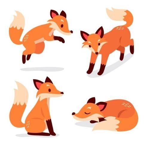 Foxes