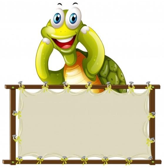 Tortoise