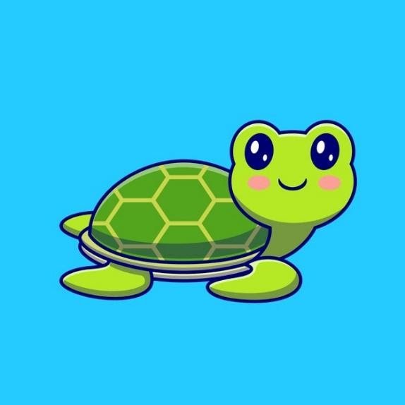 Tortoise story