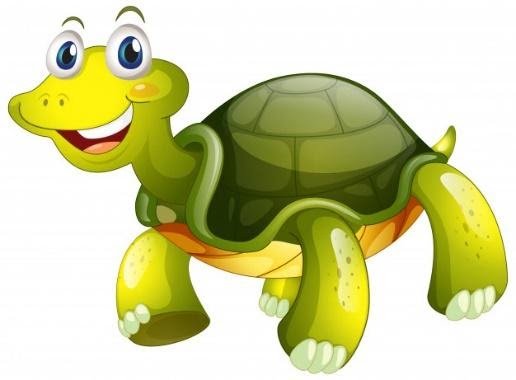 Turtle smile