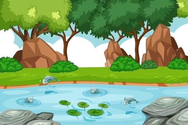 Fishes in Pond