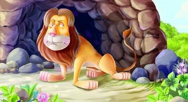 Foolish Lion