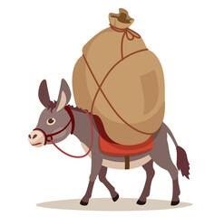 Foolish Donkey