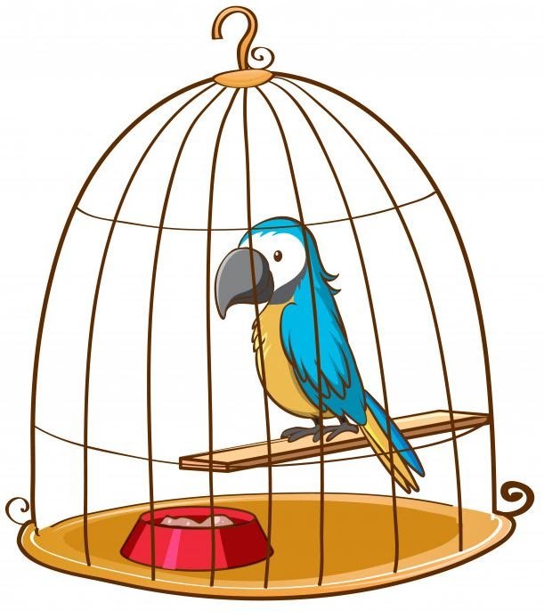 Parrot in Cage