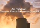 Air Pollution Essay in English