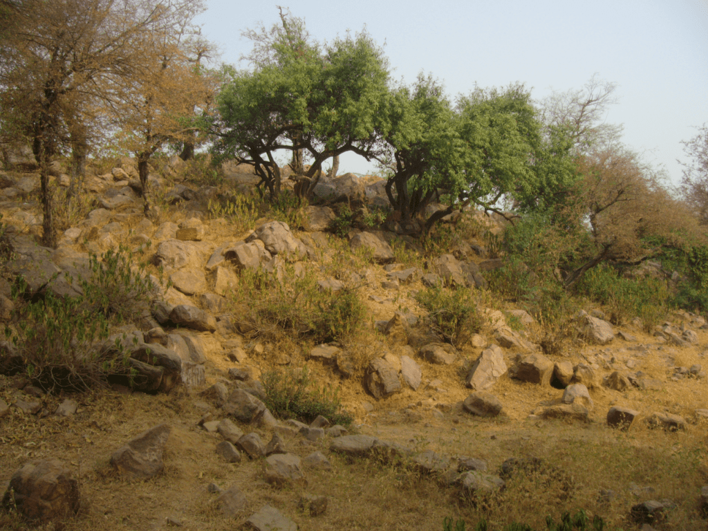 Real View of Govardhan